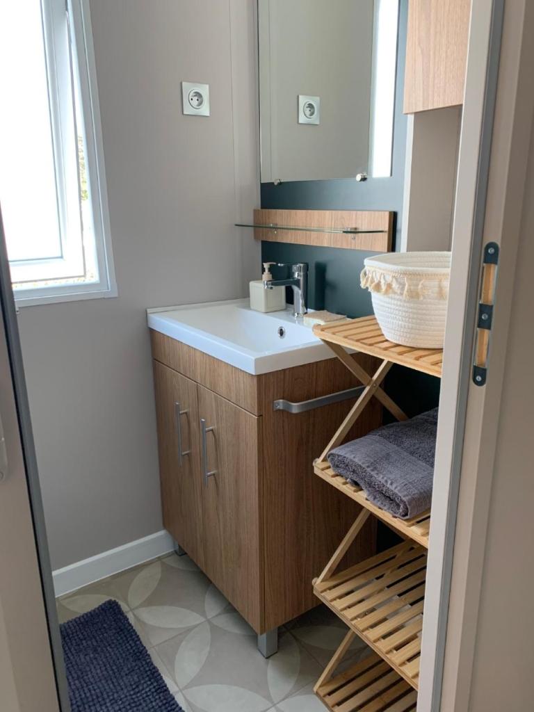 une salle de bain avec un lavabo et un miroir dans l'établissement Cb - Espace & confort, 3 ch, 41m2, proche mer, à Lattes 29 autres photos