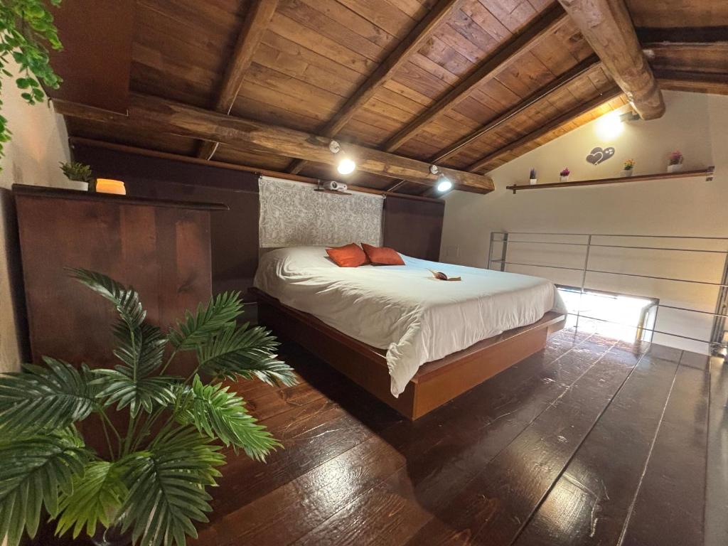 La casa di Gina 3