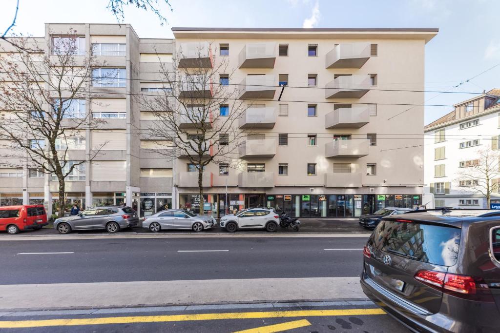 Swiss Flat Rental 3