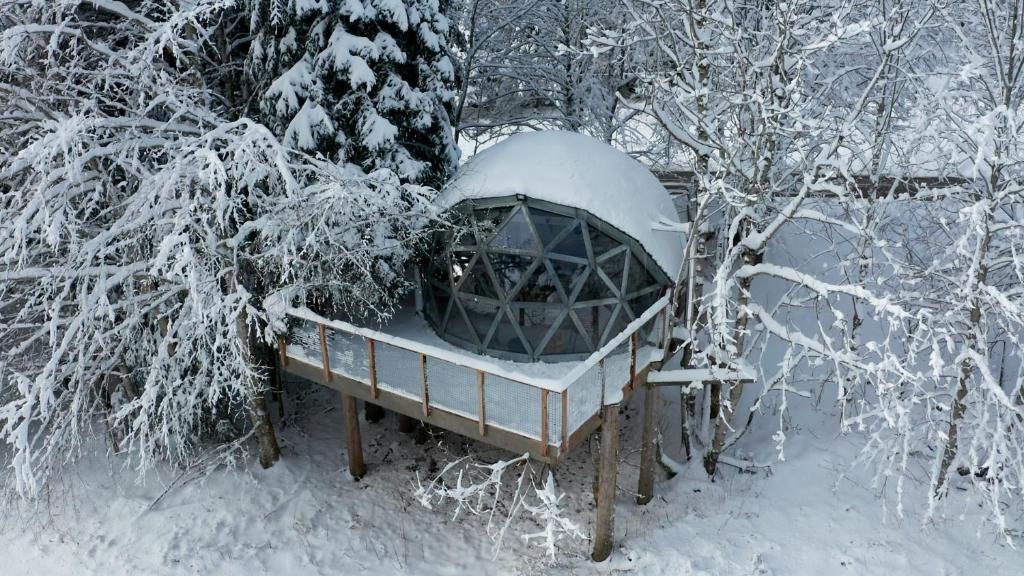 un kiosque recouvert de neige dans une forêt dans l'établissement Dôme panoramique tout confort au cœur du Vercors, à Autrans