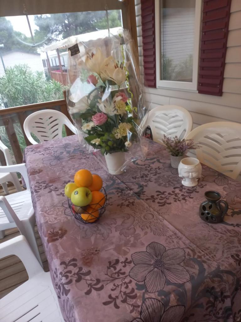 Photo de la galerie de l'établissement Mobil home tout confort canet plage, à Canet