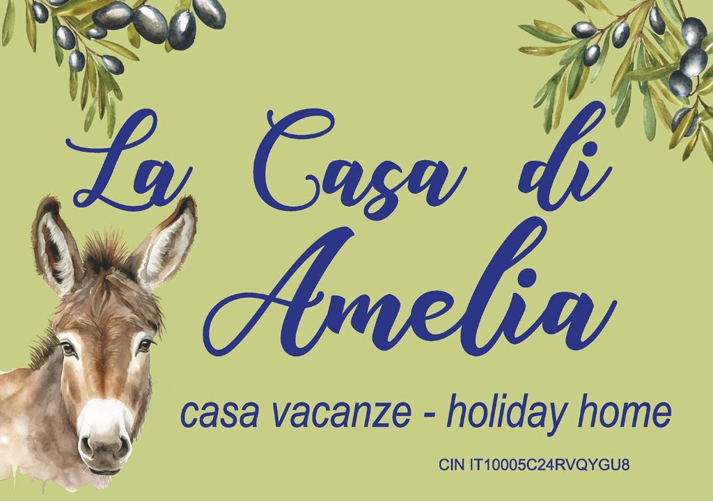 La casa di Amelia 1