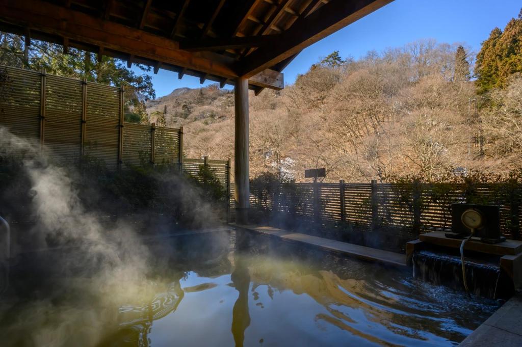 d'un bain à remous avec de la vapeur. dans l'établissement Fukuichi, à Shibukawa