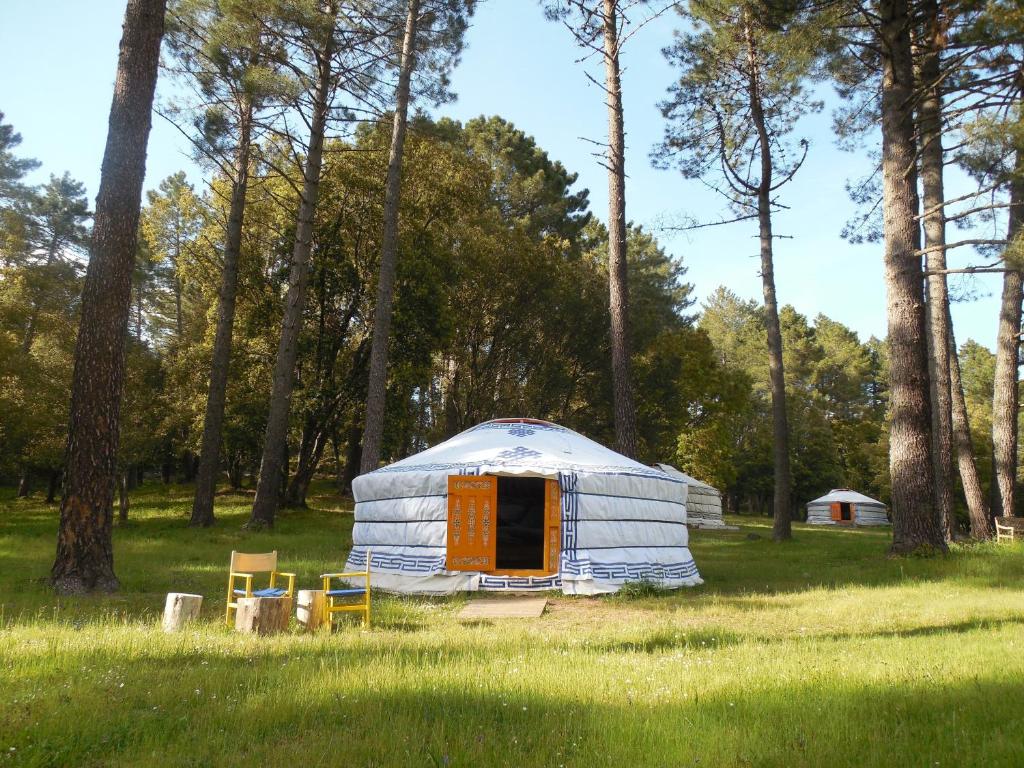 une yourte au milieu d'un champ arboré dans l'établissement Yourtes Corse Le pré aux biches, à Zonza