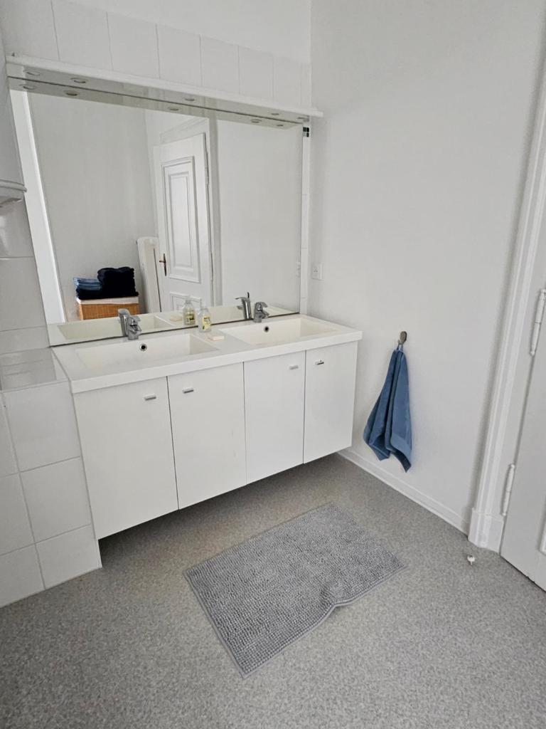 Superbe appartement 140 m2 plein centre-ville de Strasbourg 8