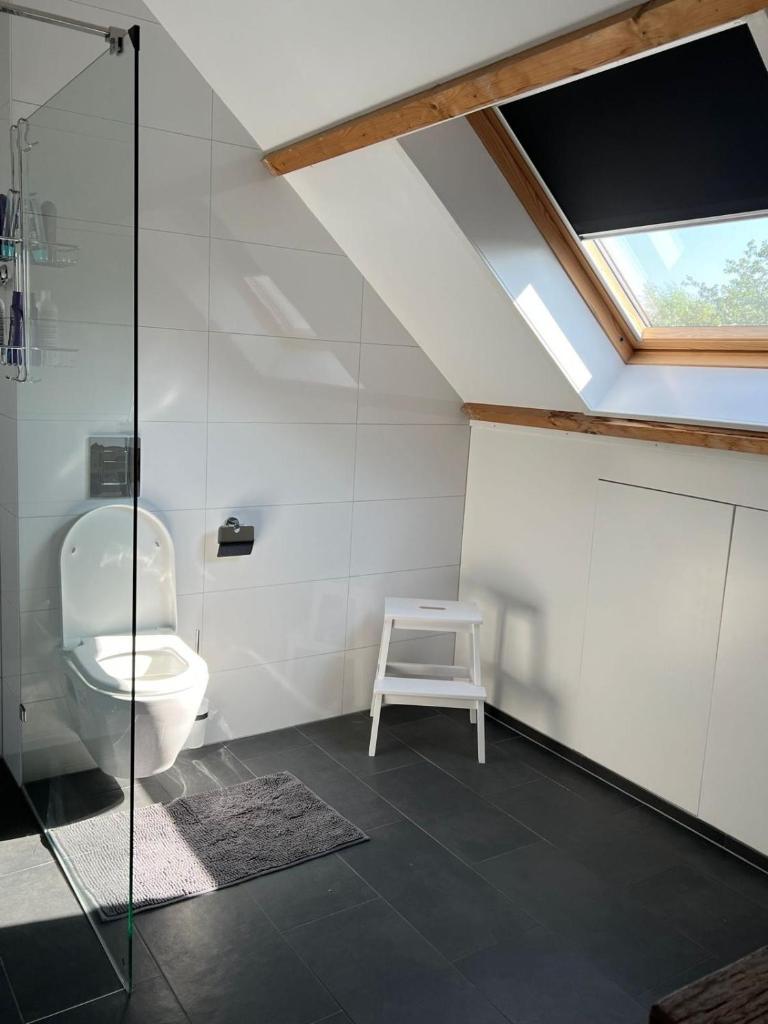 De Gouwe Leeuw 3