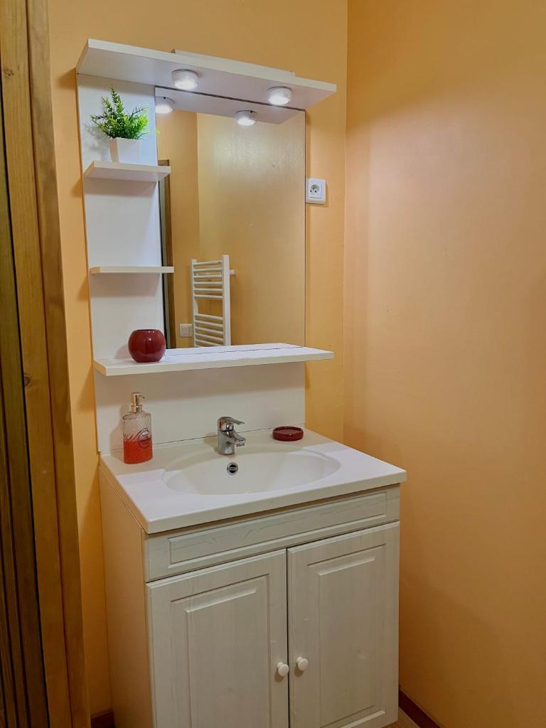 une salle de bain avec un lavabo et un miroir dans l'établissement Gites de Nicou - L'Auvent, à Monflanquin