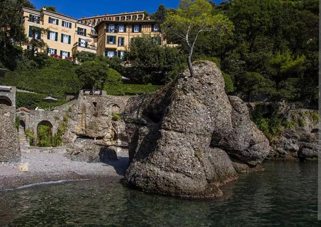Un rocher dans l'eau avec un arbre dessus dans l'établissement Portofino Deluxe Family Suite - balcony, sea view, private hotel beach, à Portofino