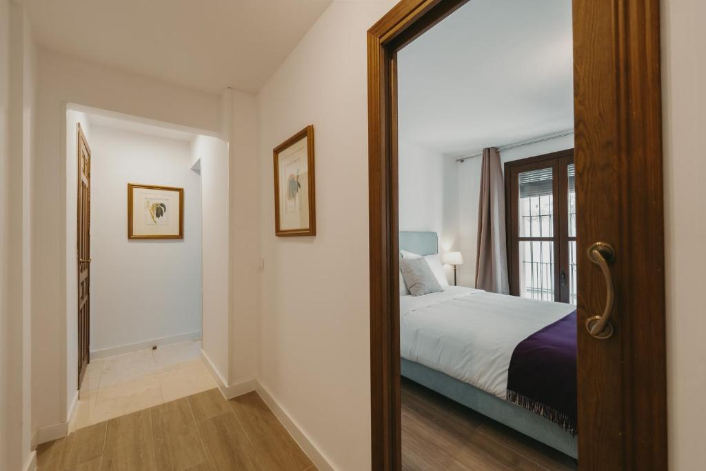 Apartamentos exclusivos en casco histórico 6