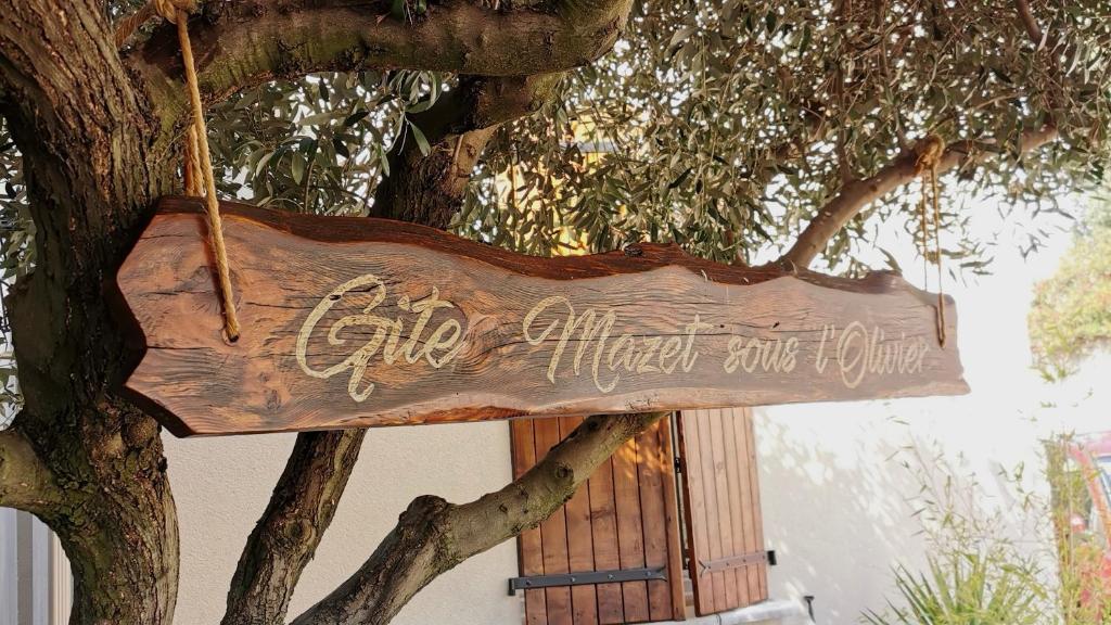 Les Gîtes sous l' Olivier en Camargue 3