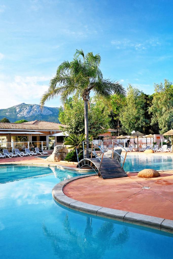 - une piscine avec un palmier et des chaises dans l'établissement Camping Les Castors, à Calvi