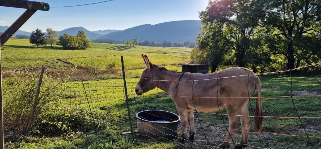 Grande maison familiale jusqu'à 14 personnes à Lans en Vercors 8
