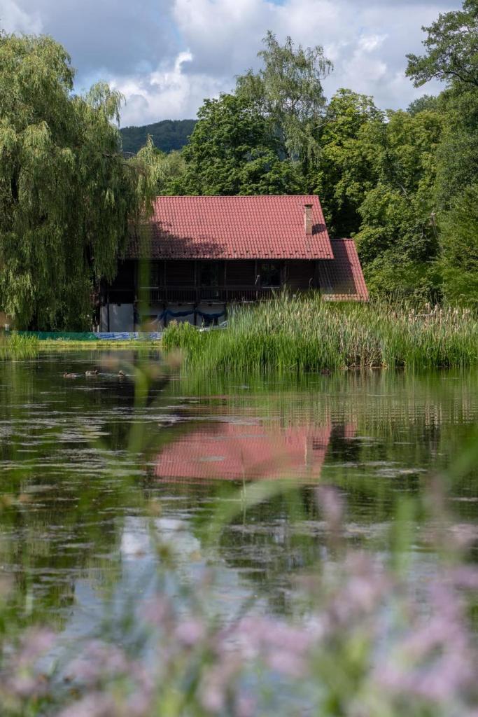 "Rózin Pstrągarnia" domki całoroczne Jura Krakowsko-Częstochowska 7