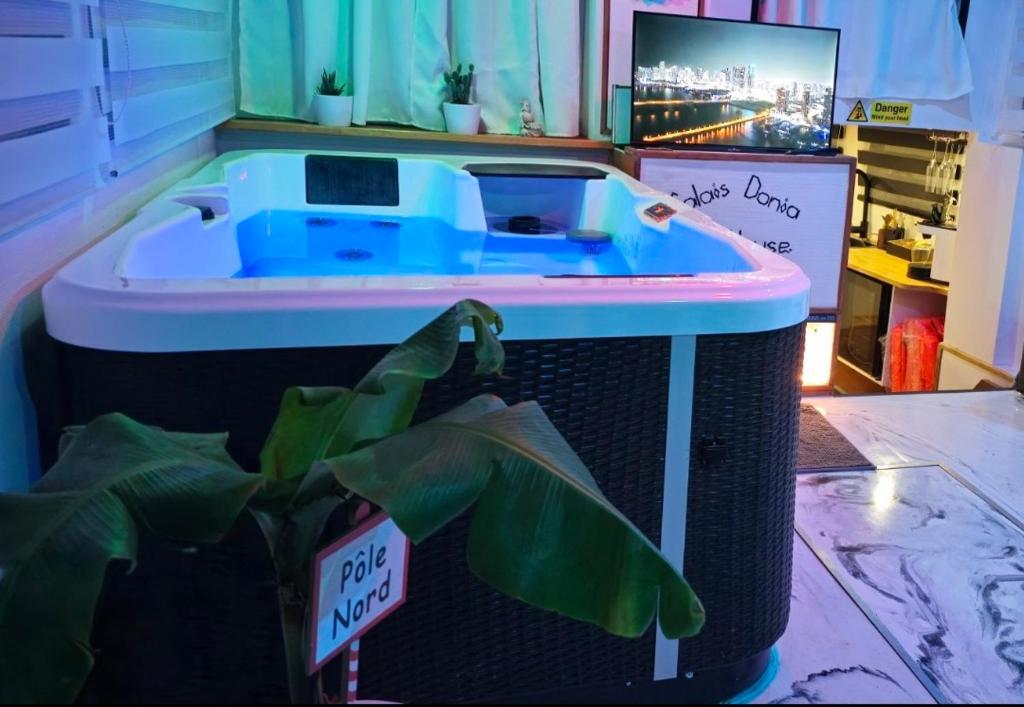 - un bain à remous dans une pièce avec une plante dans l'établissement Calaidonia boat house, à Calais