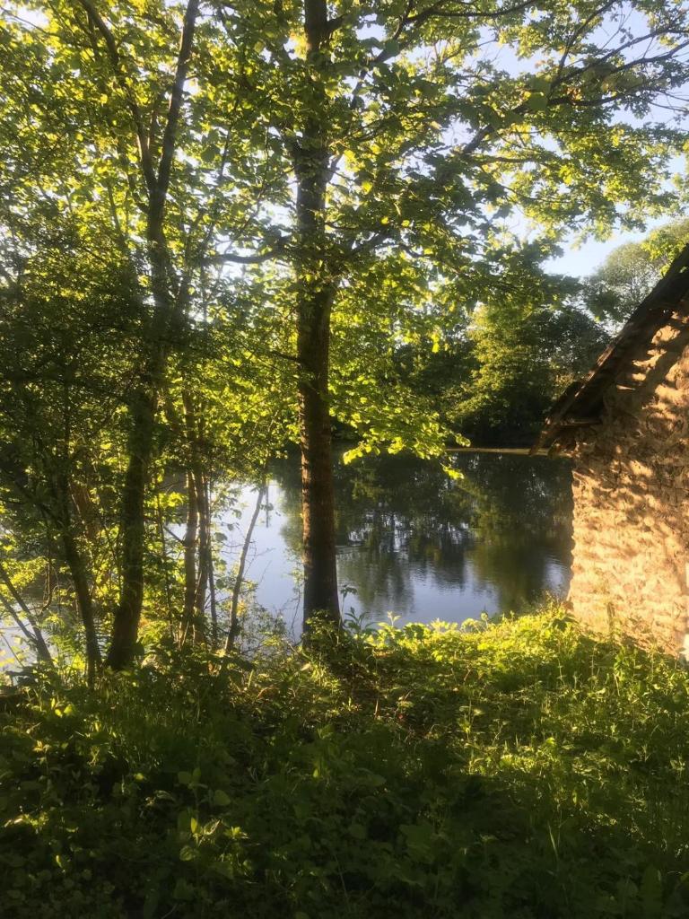- une vue sur une rivière avec des arbres et un bâtiment dans l'établissement Mill House Gite, à Villaines-la-Juhel 15 autres photos