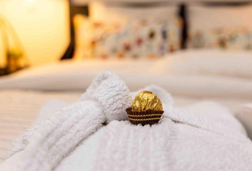 maison d'hôtes jacuzzi extérieur 10mn Lille centre 7