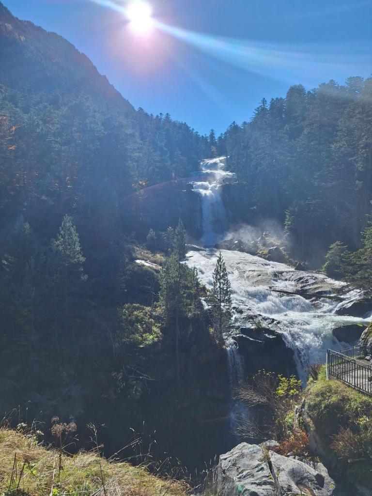 une cascade au milieu d'une rivière dans une forêt dans l'établissement Résidence Bellevue Cauterets, à Cauterets