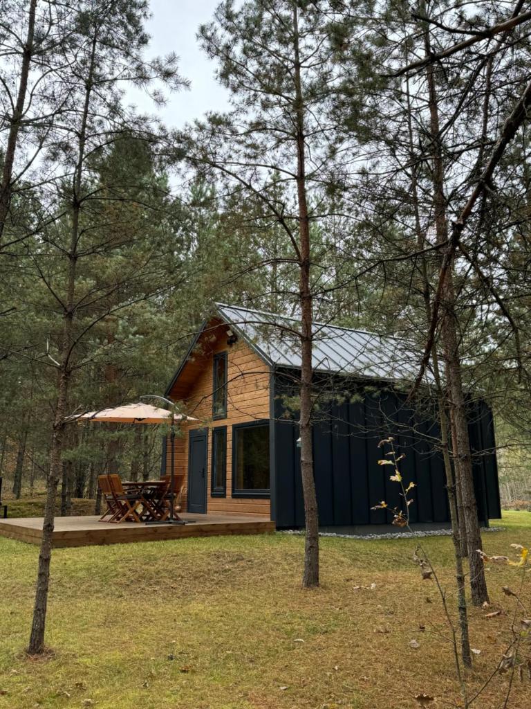 Local Forest 5