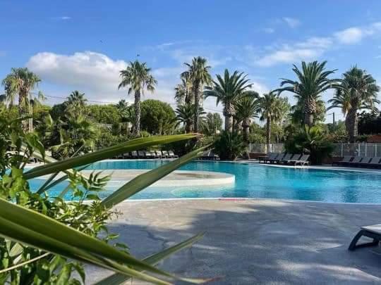 une grande piscine avec palmiers et chaises dans l'établissement Grand MOBIL HOME Spatieux 40m2 - 2 Ch, à Argelès-sur-Mer