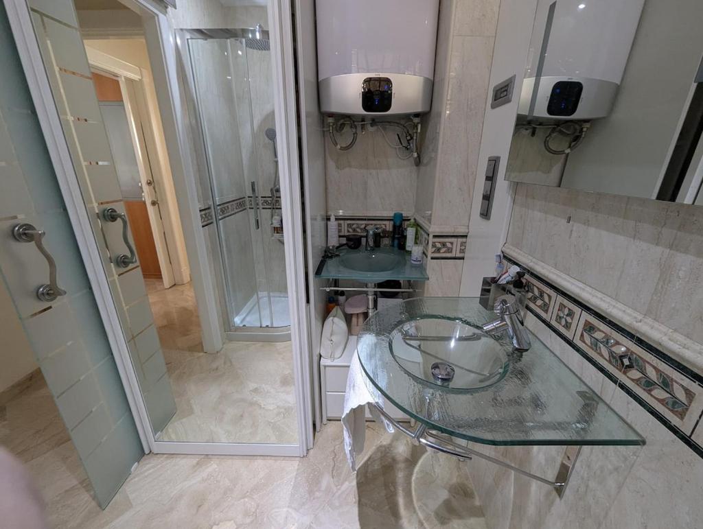 Atico Oasis Elche 3