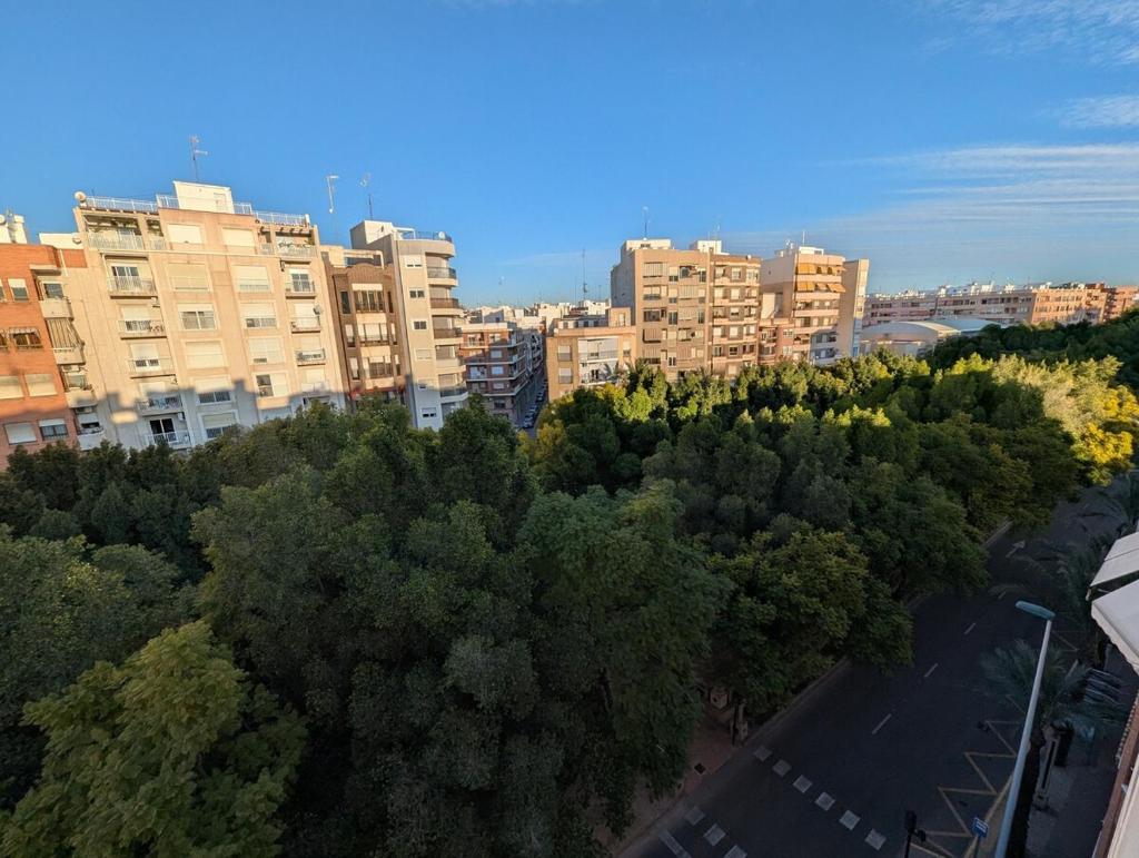 Atico Oasis Elche 6