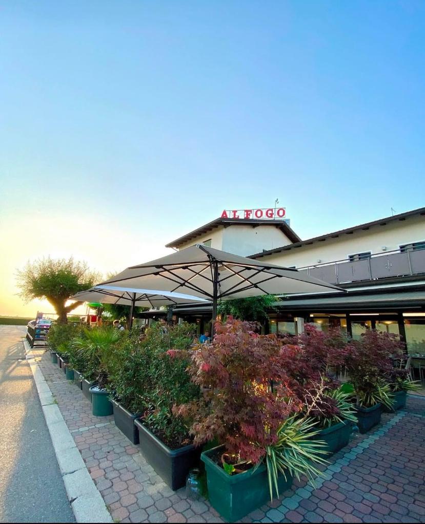 un groupe de plantes en pots devant un bâtiment dans l'établissement Hotel Al Fogo, à Bevazzana