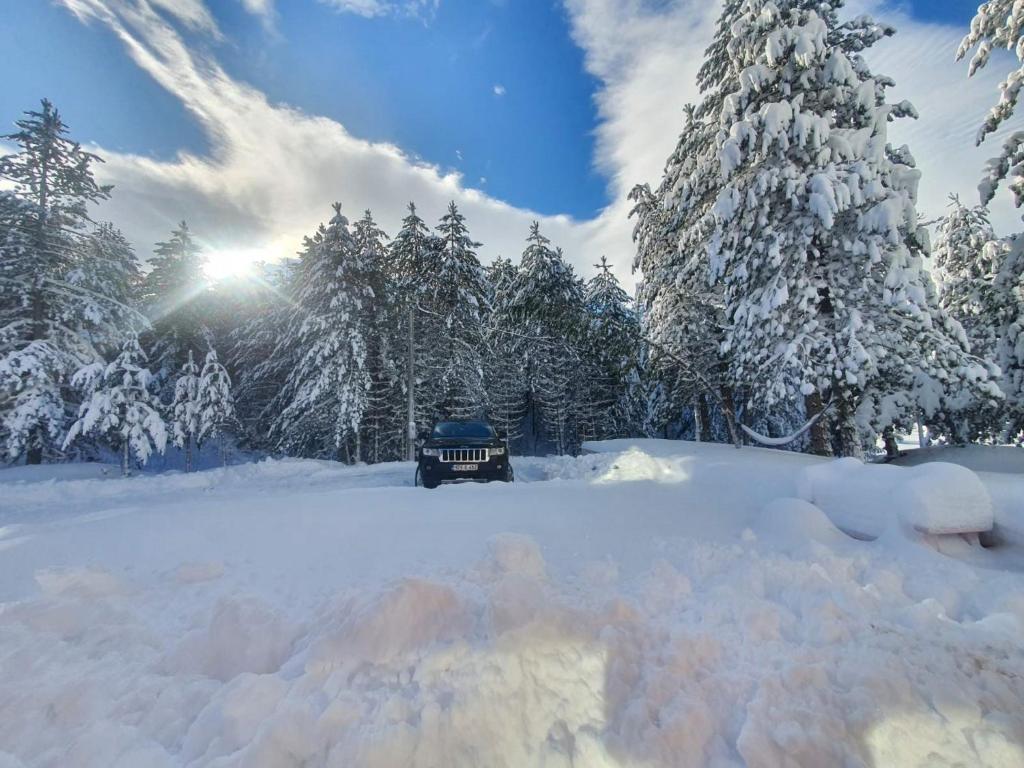 Vikendica Petra 7