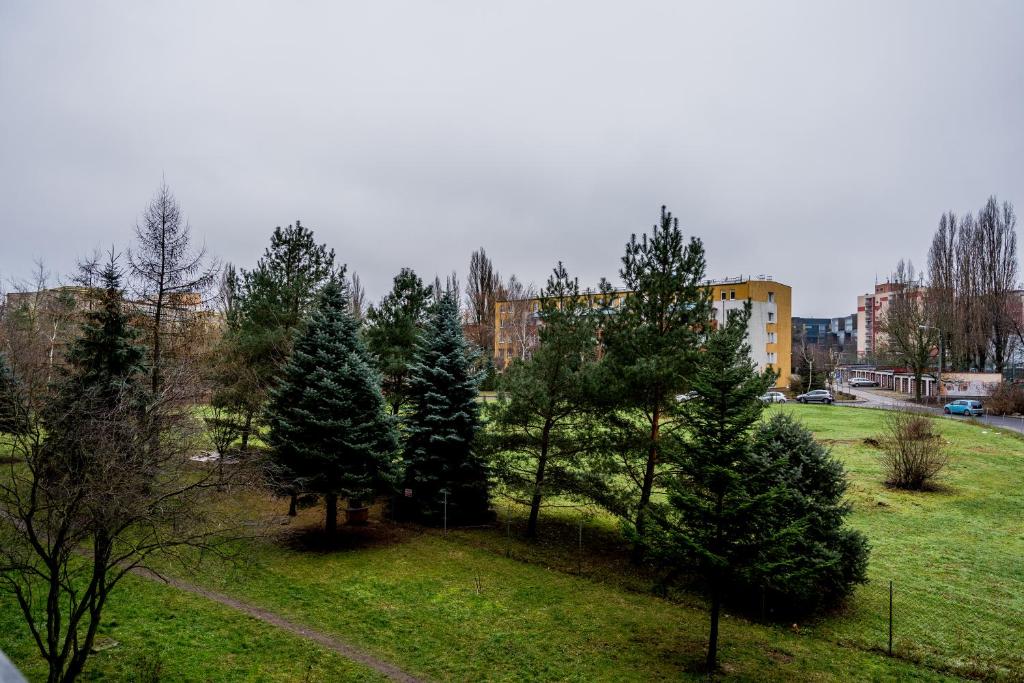 Grunwald Spacious Apartment by BookingHost 6