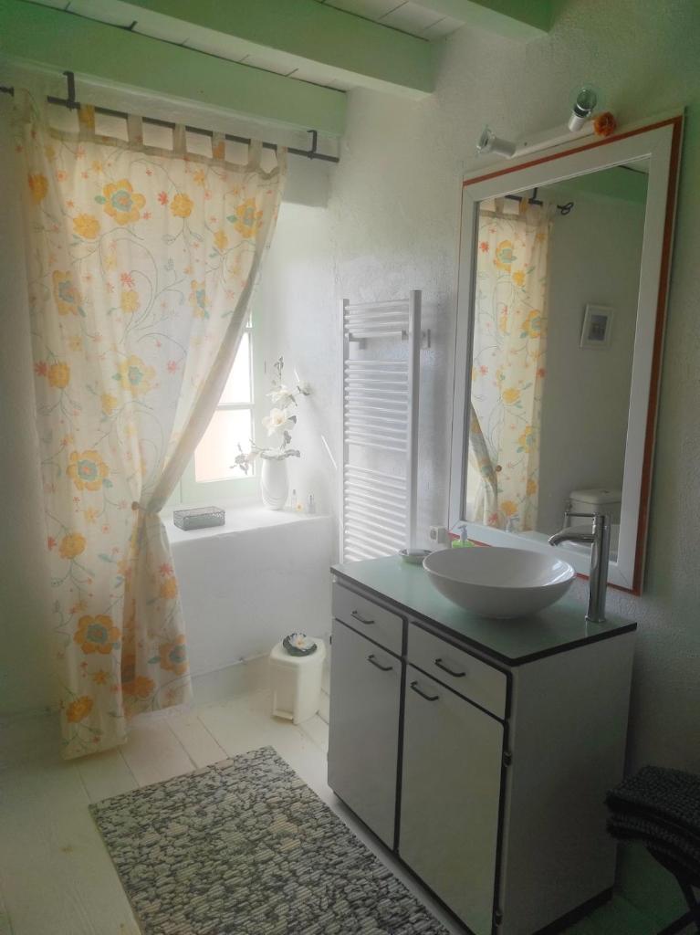 une salle de bain avec un lavabo et un miroir dans l'établissement Gîte à CHALMAZEL équipé, dans hameau calme, à Mermond 34 autres photos