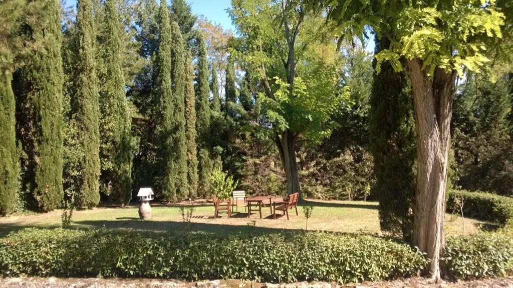 d'un parc avec une table de pique-nique et une bouche pour feu dans l'établissement Casale Molin Bianco nelle colline del Chianti, à Castellina Scalo