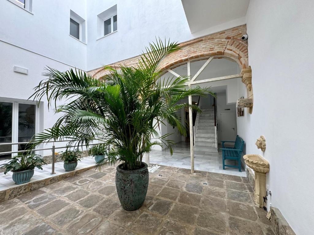 Solera Suites 8