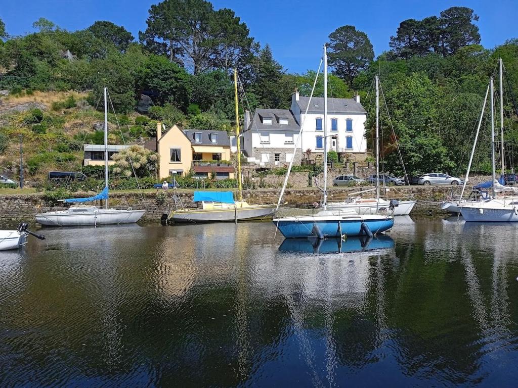 un groupe de bateaux est amarré dans un port dans l'établissement MOBIL-HOME TOUT CONFORT, 3 CHAMBRES, Domaine de Kerlann, à Pont-Aven