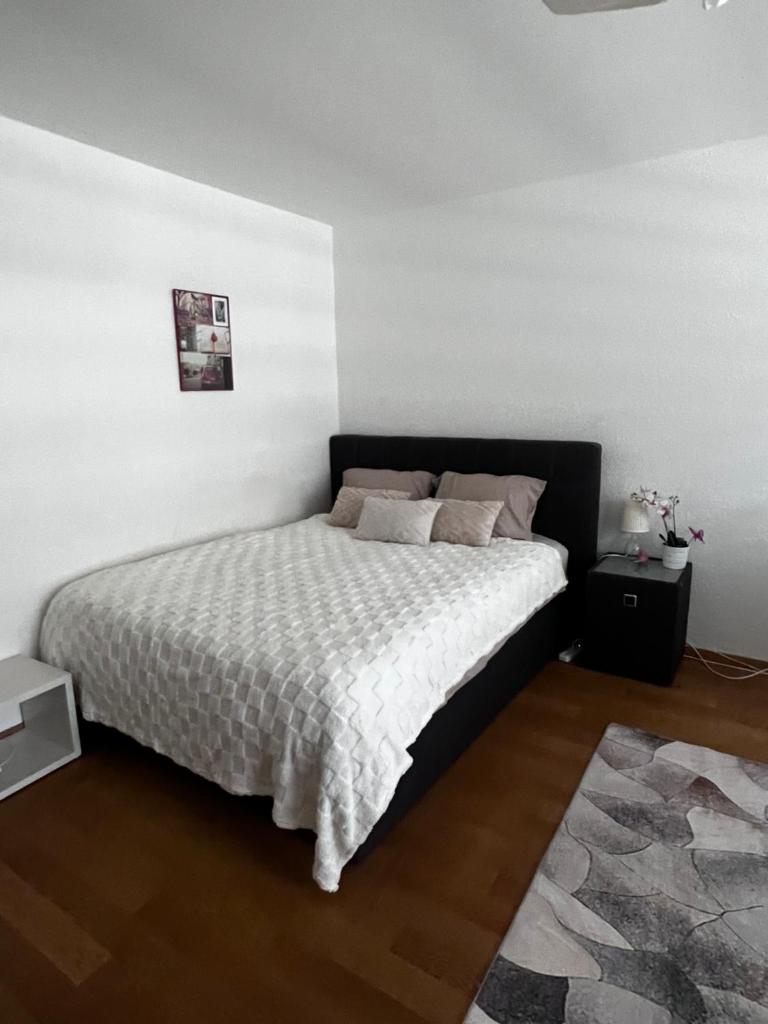 Apartments in Bern - Green Relax 6