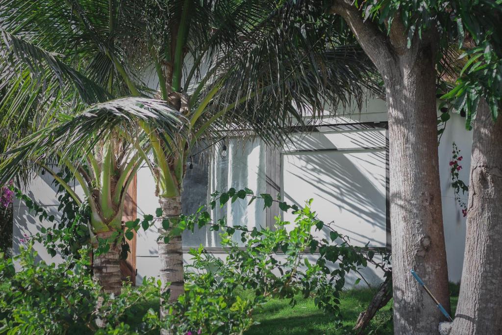 Peaceful Hill Homestay