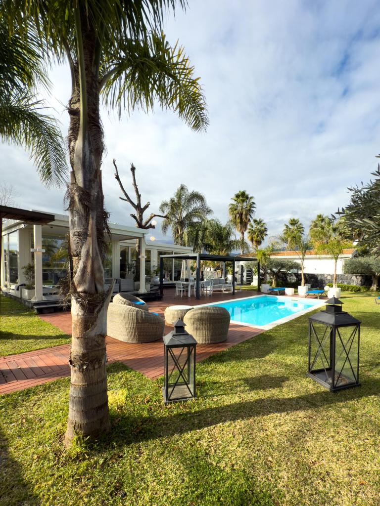une villa avec un palmier et une piscine dans l'établissement T Villa, à Calatabiano