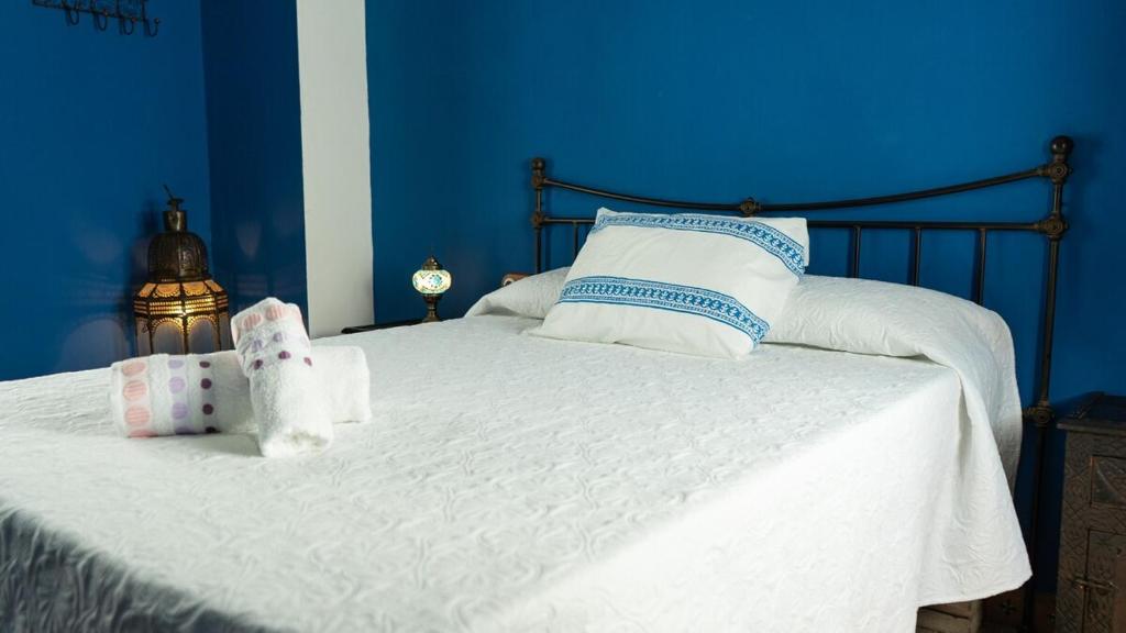 Casa Azul 7