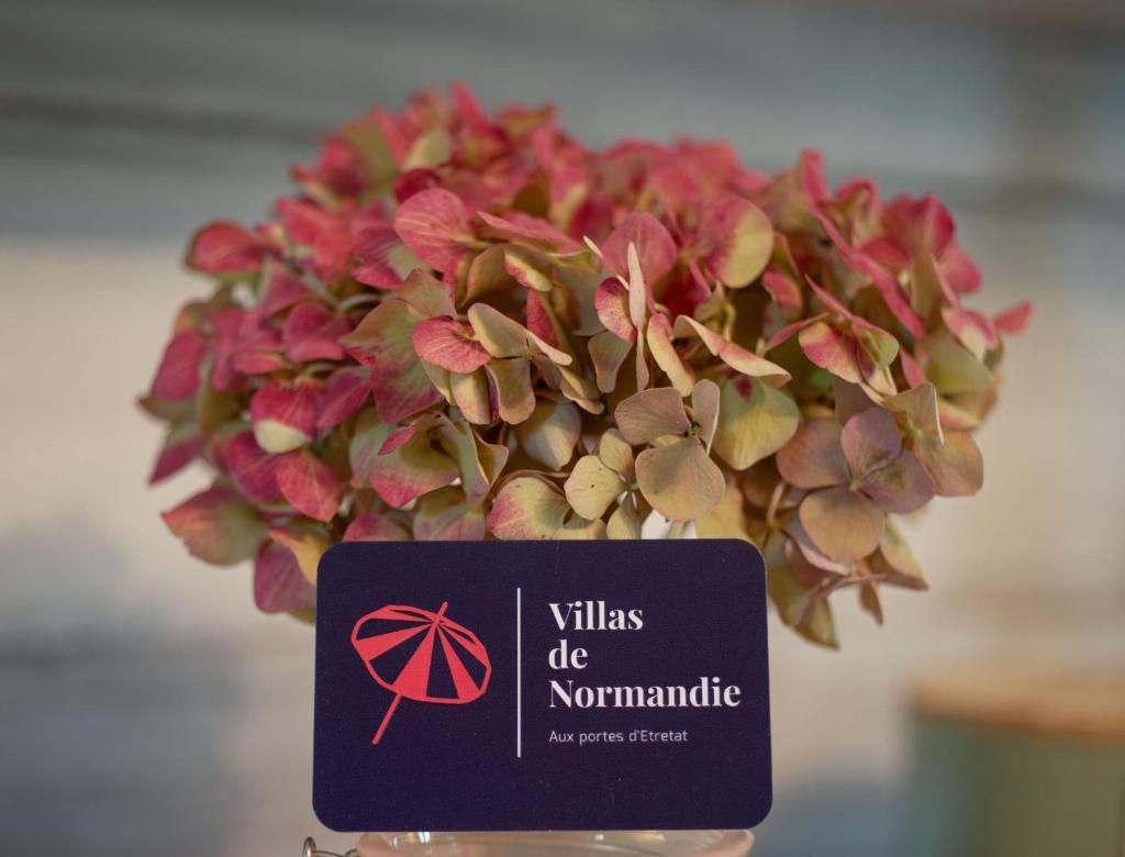 La Rose des Vents 7