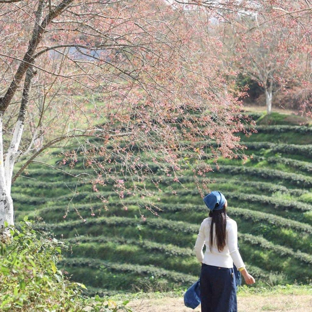 Sương Mây Sapa Homestay