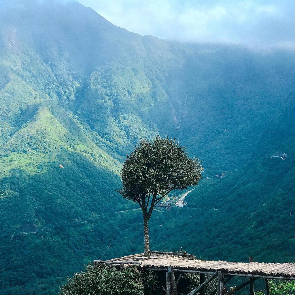 Sương Mây Sapa Homestay