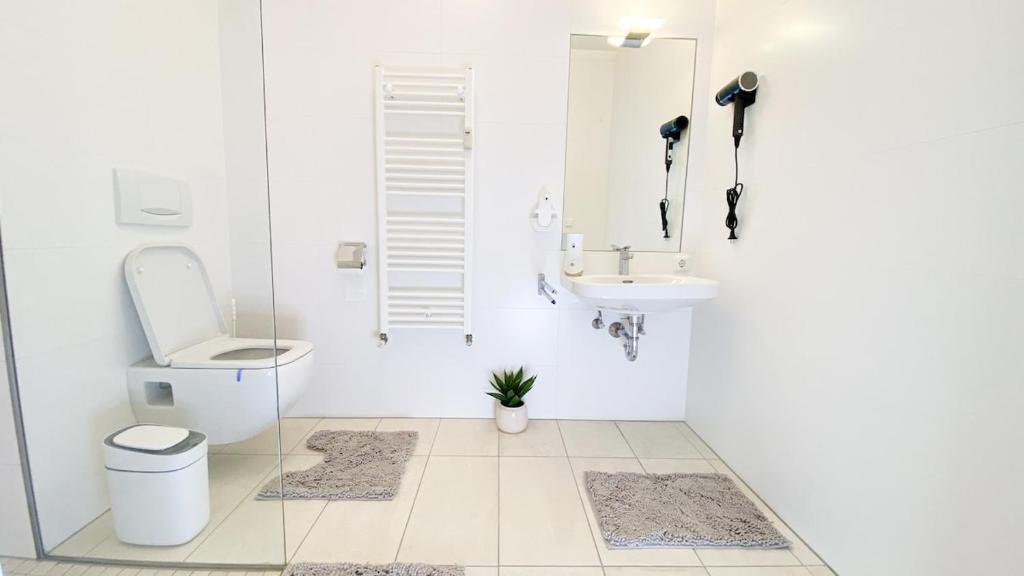 Donau Bliss Linz City Suite 3
