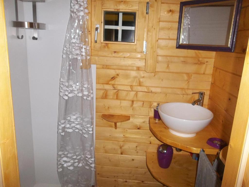 La salle de bains est pourvue d'un lavabo et d'un mur en bois. dans l'établissement Chalet flottant sur lac et spa, à Mios