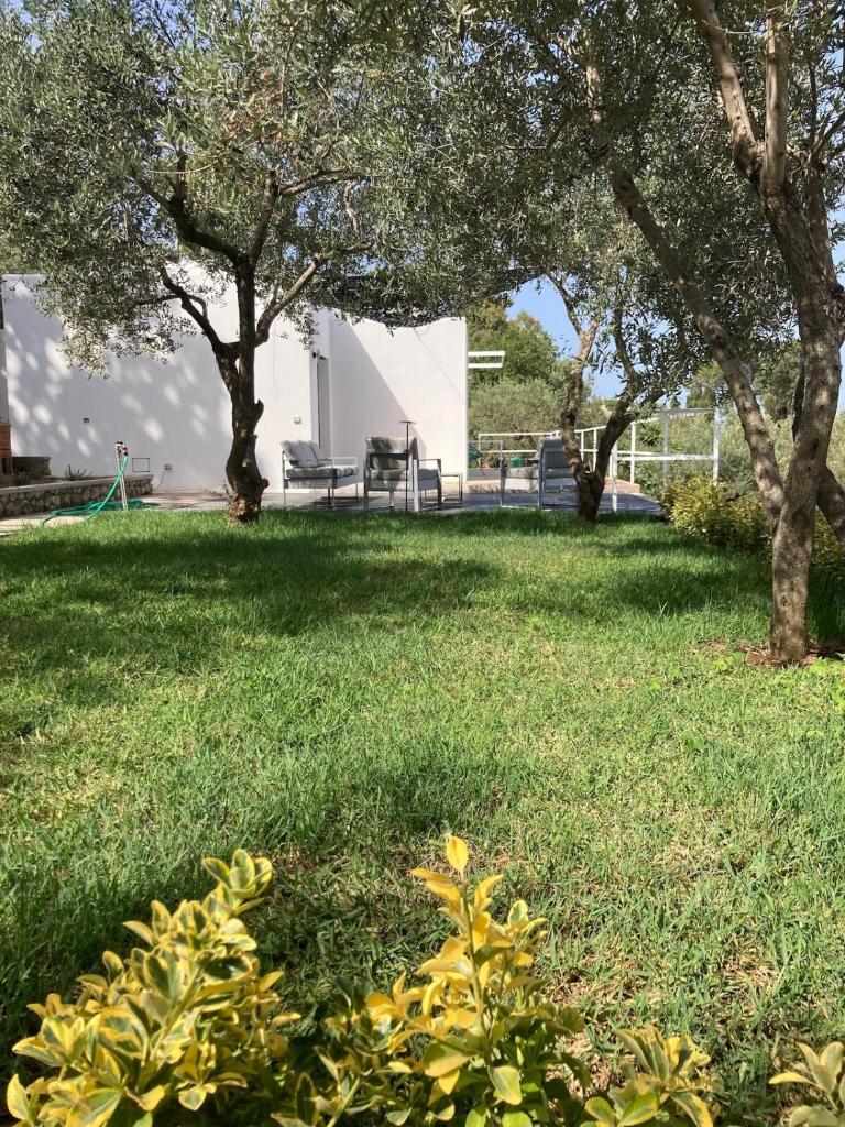 un champ d'herbe planté d'arbres en arrière-plan dans l'établissement “CapriOleum” esclusive place, à Anacapri