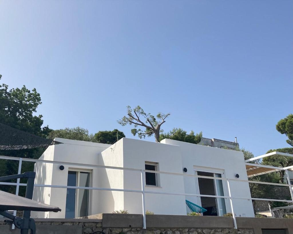 une maison blanche avec un arbre au-dessus dans l'établissement “CapriOleum” esclusive place, à Anacapri