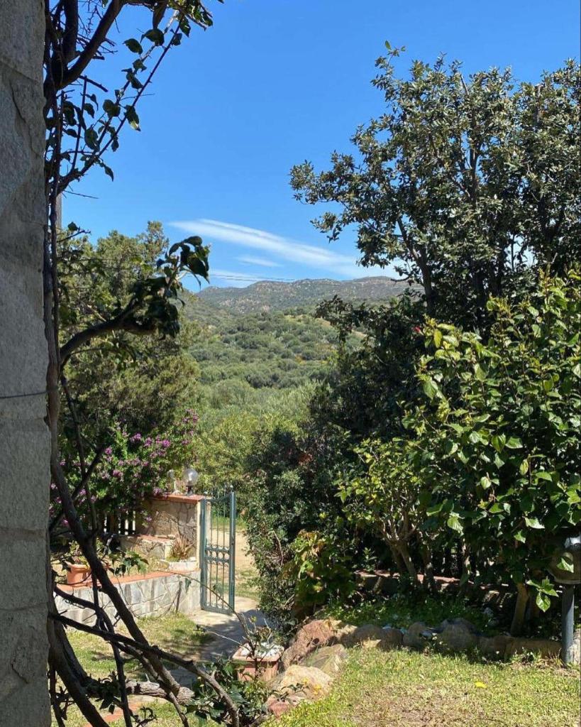 Villa azzurra tra le coste del sud
