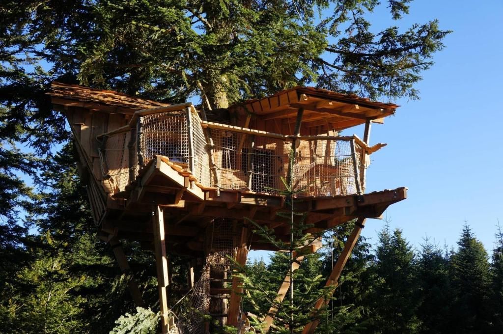 une cabane dans un arbre dans l'établissement Cabanes des Volcans, à La Tour-dʼAuvergne