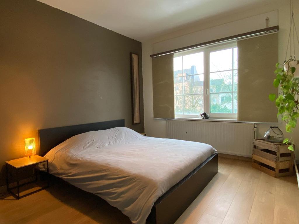 Ruime woning nabij Antwerpen en haven 2