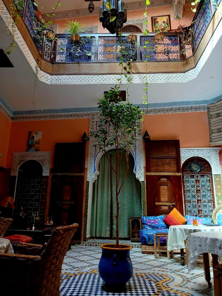 une chambre avec un vase et un arbre dedans dans l'établissement Riad Idrissi, à Meknès