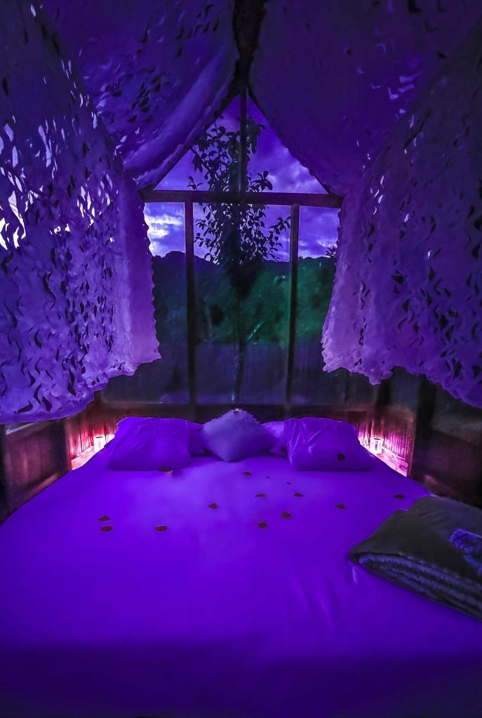 - un lit violet dans une chambre avec fenêtre dans l'établissement Chalet en verre sous une pluie étoilée, à Lantosque