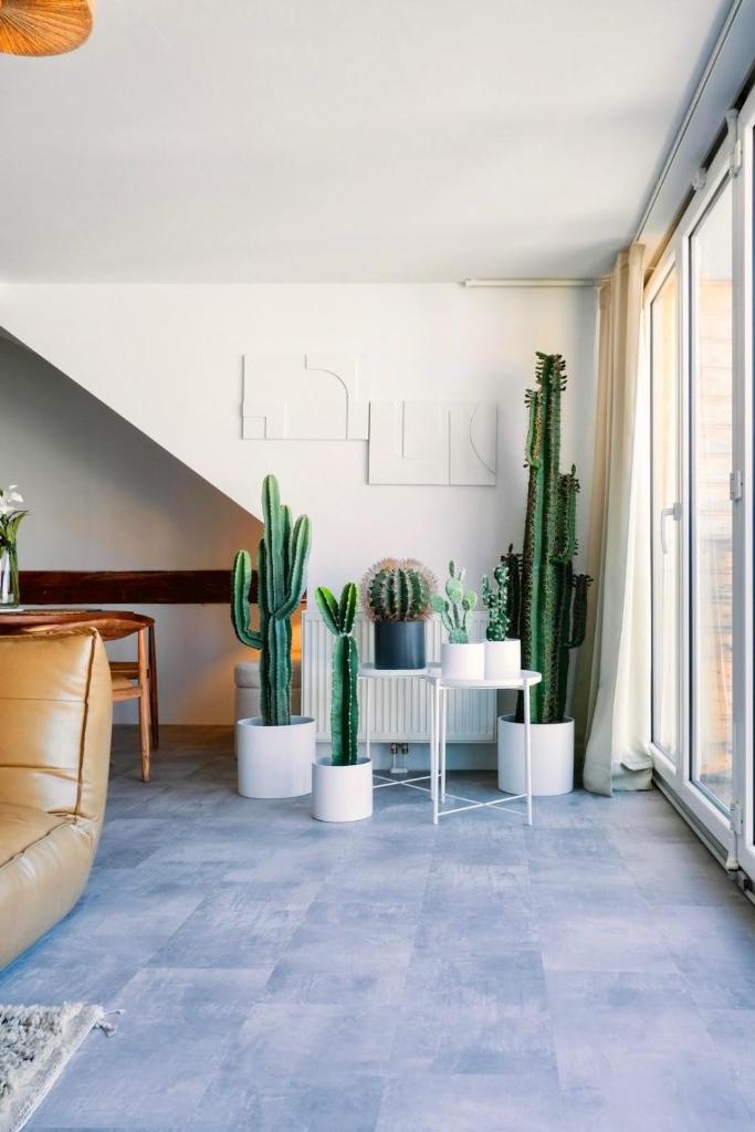 Historic City Center Design Apartments - Schlossberg View 3