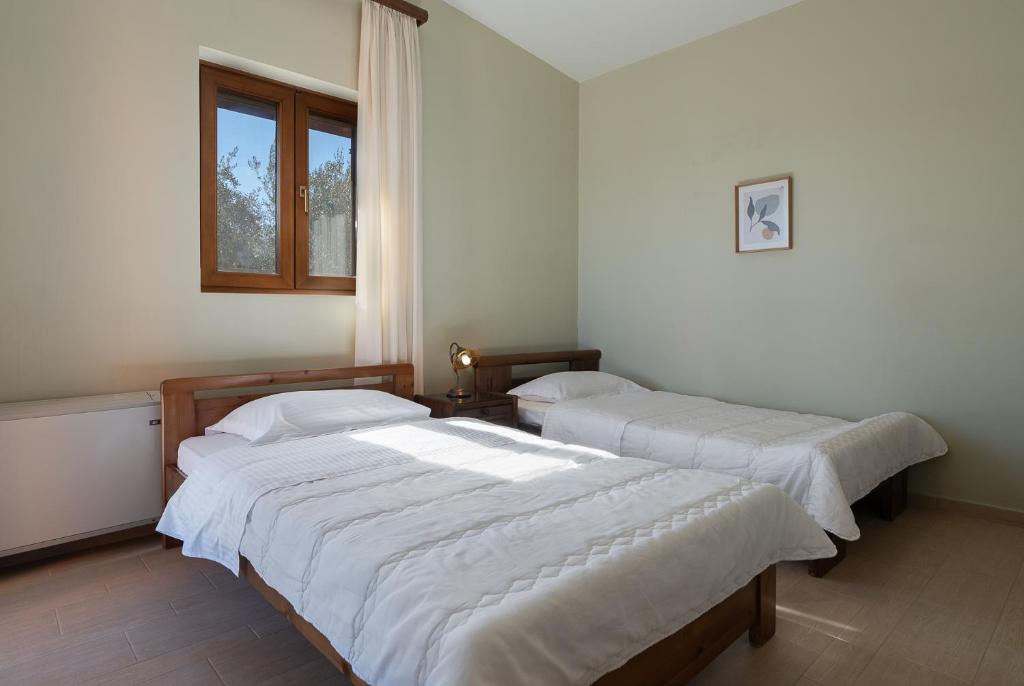 Amara Haven 7